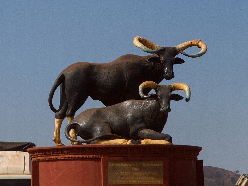 ទិដ្ឋភាពខេត្តមណ្ឌលគិរី